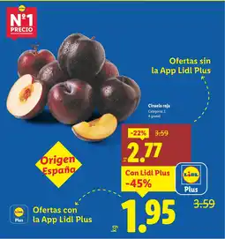 Lidl Ciruela roja oferta