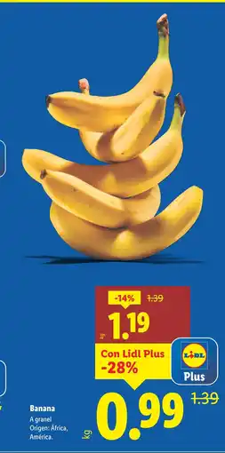Lidl Banana oferta