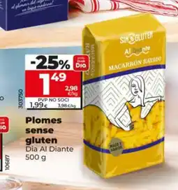 Dia Plomes sense gluten oferta