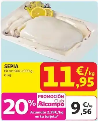 Bureau Vallée Jovi - aquarel-la 12 unitats oferta