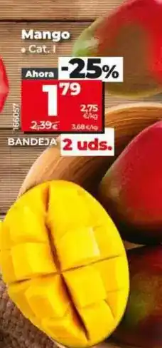 Dia Mango oferta