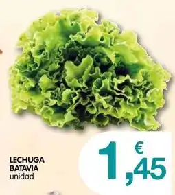 CashDiplo Lechuga batavia oferta