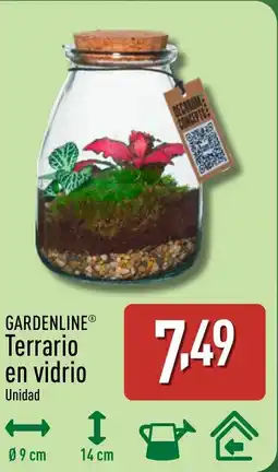ALDI GARDENLINE Terrario en vidrio oferta