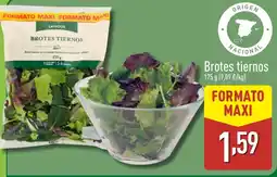 ALDI Brotes tiernos oferta
