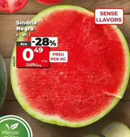 Dia Sindria Negra oferta