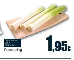 Unide Supermercados Puerro oferta
