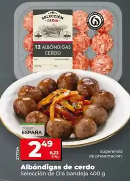 Dia Seleccion de dia - albóndigas de cerdo oferta