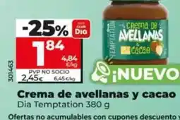 Dia Dia temptation - crema de avellanas y cacao oferta