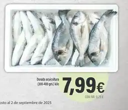 Cash Ifa Dorada acuicultura oferta