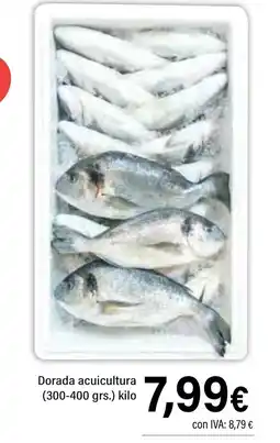 Cash Ifa Dorada acuicultura oferta