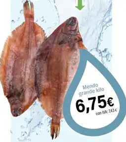 Cash Ifa Mendo grande oferta