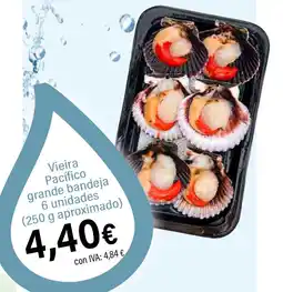 Cash Ifa Vieira Pacífico grande bandeja oferta