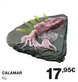 Supercor Calamar oferta