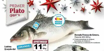 Masymas Lubiana Grande Dorada Fresca De Estero oferta