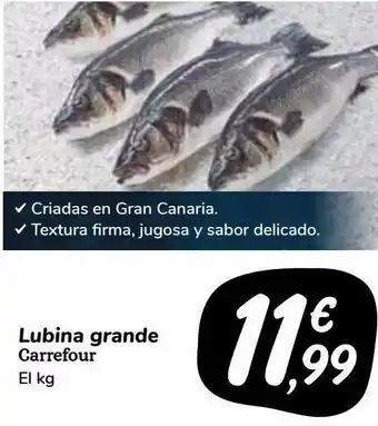 Carrefour Market Lubina grande oferta