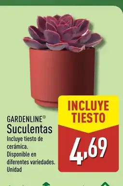 ALDI GARDENLINE Suculentas oferta