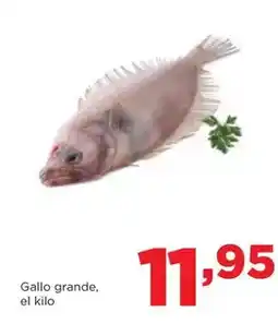 Alimerka Gallo grande oferta