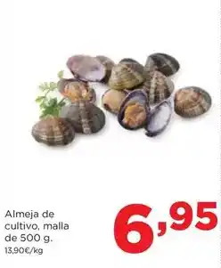 Alimerka Almeja de cultivo oferta