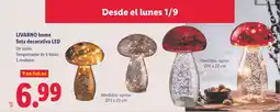 Lidl LIVARNO HOME Seta decorativa LED oferta