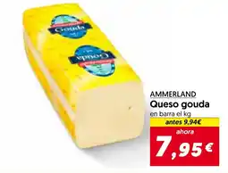 Hiper Usera AMMERLAND Queso gouda oferta