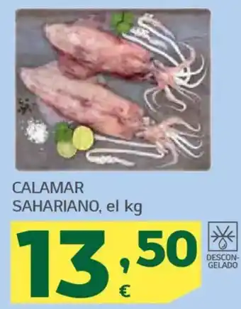 HiperDino Calamar sahariano oferta