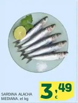 HiperDino Sardina alacha mediana oferta