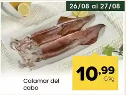 Autoservicios Familia Calamar del cabo oferta