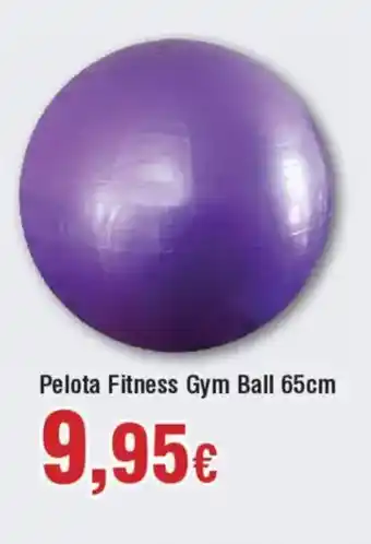 Hiper FROIZ Pelota Fitness Gym Ball oferta