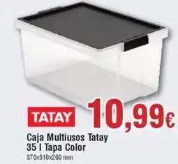 Hiper FROIZ TATAY Caja Multiusos 351 Tapa Color oferta
