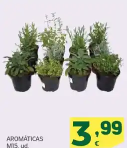 HiperDino Aromáticas m15 oferta