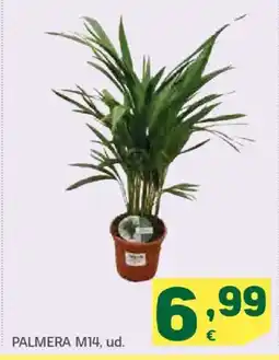 HiperDino Palmera m14 oferta
