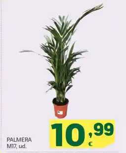 HiperDino Palmera m17 oferta