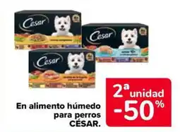 Carrefour Market CÉSAR En alimento húmedo para perros oferta