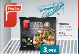 Plusfresc FINDUS Minestra de l'hort oferta