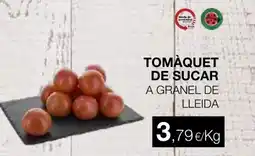 Plusfresc Tomàquet de sucar a granel de lleida oferta