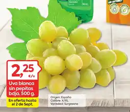 Suma Supermercados Uva blanca sin pepitas bdja oferta