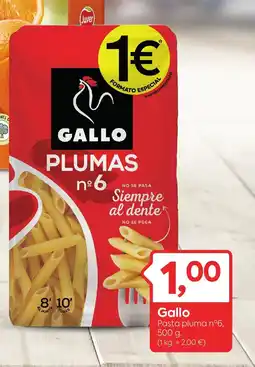 Suma Supermercados GALLO Pasta pluma nº6 oferta