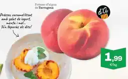 Sorli Préssec d'aigua de tarragona oferta