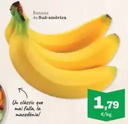 Sorli Banana de sud america oferta