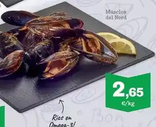 Sorli Musclos del nord oferta