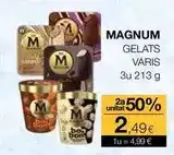 Plusfresc Magnum - gelats oferta