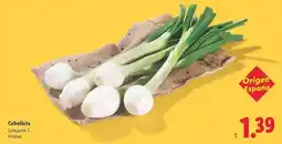 Bauhaus Campana 'silueta' oferta