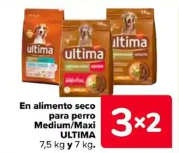 Carrefour ULTIMA En alimento seco para perro Medium/Maxi oferta