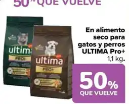 Carrefour ULTIMA En alimento seco para gatos y perros Pro+ oferta