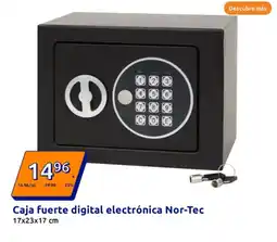 Action Caja fuerte digital electrónica Nor-Tec oferta