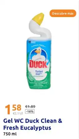 Action DUCK Gel WC Clean & Fresh Eucalyptus oferta
