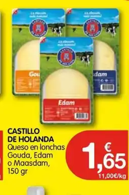 CashDiplo CASTILLO DE HOLANDA Queso en lonchas Gouda, Edam o Maasdam oferta
