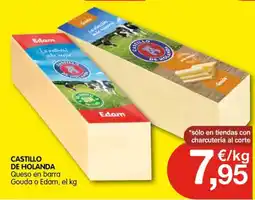 CashDiplo CASTILLO DE HOLANDA Queso en barra oferta