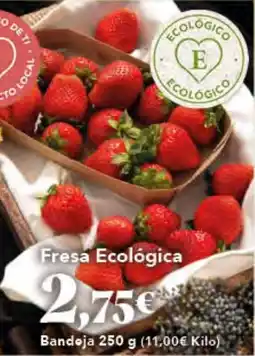 Gadis Fresa Ecológica oferta