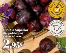 Gadis Ciruela Superior (Roja-Negra) oferta
